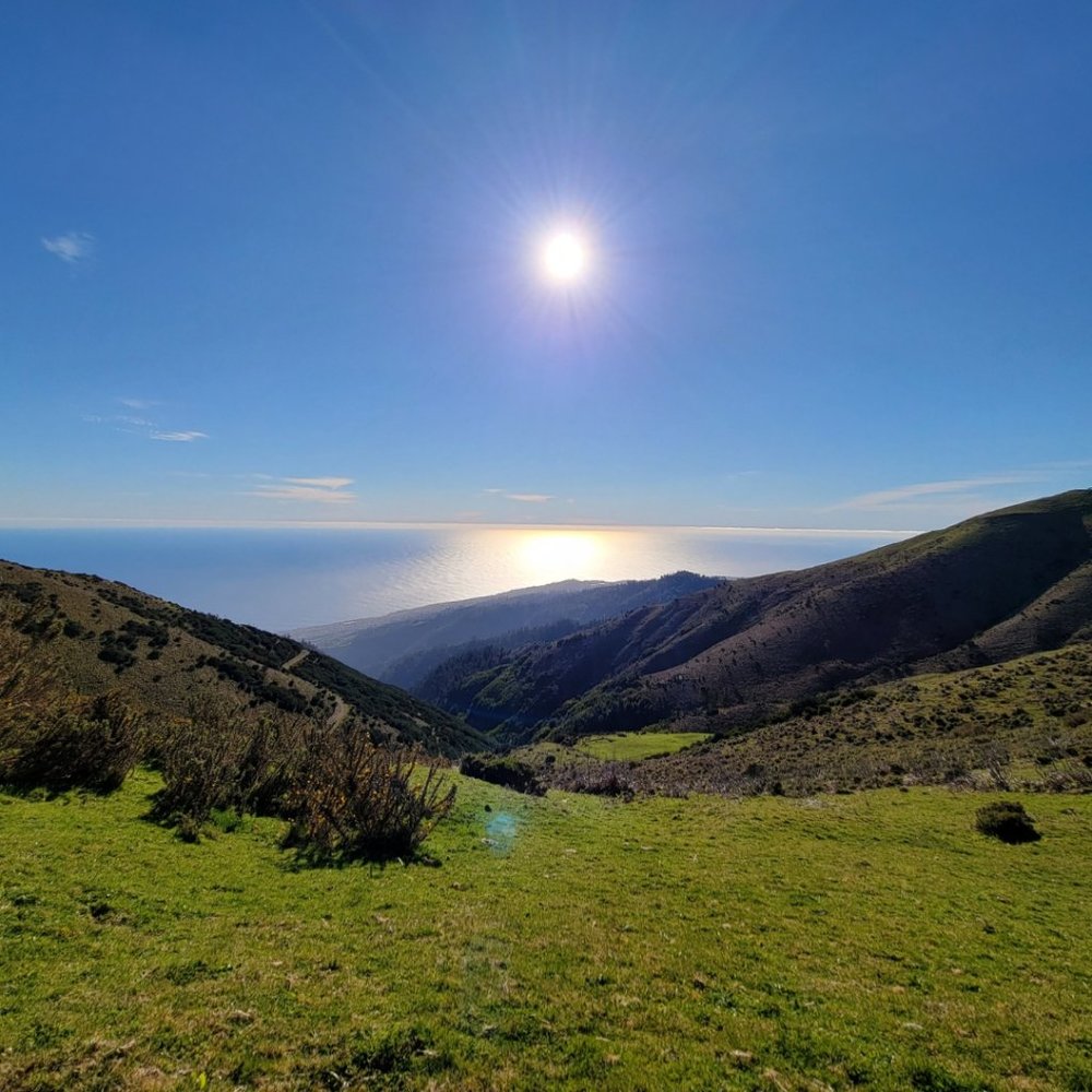 Meet your Posher, Marsupial Echo